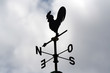 gallo veleta puntos cardinales direccion viento