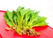 Photo: crumbled ramson crumbled ramson