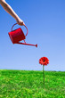 Photo: Woman watering flower Woman watering flower