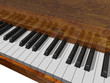 The piano