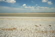 Baie de Somme,Le hourdel Baie de Somme,Le hourdel