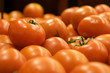 Group of Tomatos Group of Tomatos