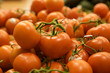 Group of Tomatos Group of Tomatos
