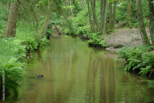 Foto: Este an der Bötersheimer Estebrücke in der Lüneburger Heide Este an der Bötersheimer Estebrücke in der Lüneburger Heide