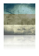 grunge flag of estonia with shadow