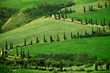 Zypressenallee, Kurve, La Foce, Val d Orcia, Toskana, Italien