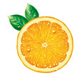 Orangenhälfte Orangenhälfte