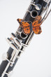 Clarinet with Butterfly on White