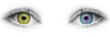 Augen