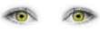Augen