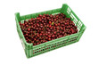 cerezas