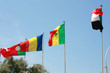 flags
