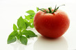 Photo en ligne au meilleur prix Tomate et basilic