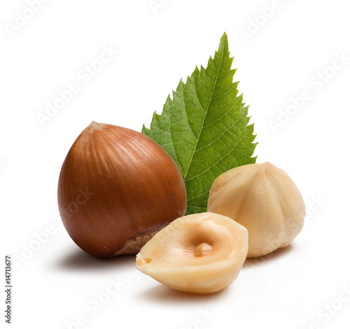 Photo: Hazelnut and green leaves Hazelnut and green leaves