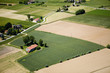 meadow A113