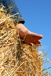 pied sur botte de paille pied sur botte de paille
