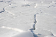 Invoice, texture is ice