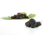 fruits rouge, mure