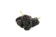 fruts rouge, mures sur fond blanc