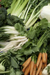 Carrots and radishes