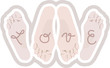 Le pied