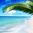Summertime at the beach Summertime at the beach