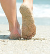girl's barefoot legs on the sand beach girl's barefoot legs on the sand beach