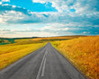 Empty road