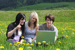 Junge Leute mit Laptop in Wiese