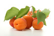 groupe d' abricots sur fond blanc groupe d' abricots sur fond blanc