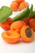 abricots sur fond blanc abricots sur fond blanc
