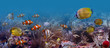 Underwater world