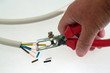 Wire stripper