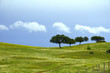 Paisaje mediterráneo