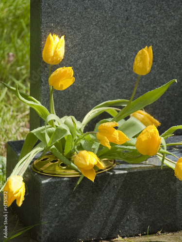 Photo: grave grave