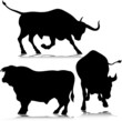 three bull vector silhouettes three bull vector silhouettes