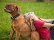 Young girl and her dog Young girl and her dog