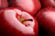 Macro apple Macro apple