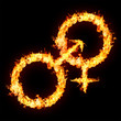 men's and women's signs