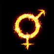 Men's and women's signs