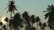 Video: sunrise sunrise