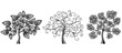Fantasy Trees