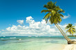 Plage tropicale