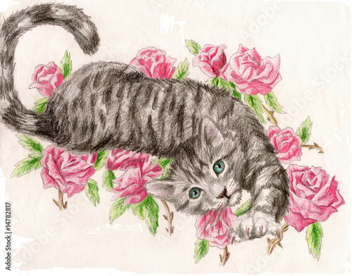 Illustration: Tabby Rose Cat Tabby Rose Cat