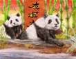 Pandaship