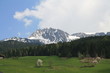 Alpenvorland