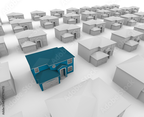 Illustration: One Blue Home Among Many White Houses One Blue Home Among Many White Houses