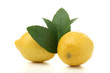 citron sur fond blanc citron sur fond blanc