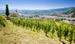 grand cru vineyard, L´Hermitage, Rhône-Alpes, France grand cru vineyard, L´Hermitage, Rhône-Alpes, France