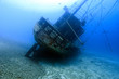 Shgipwreck Our Confidence, Bonaire